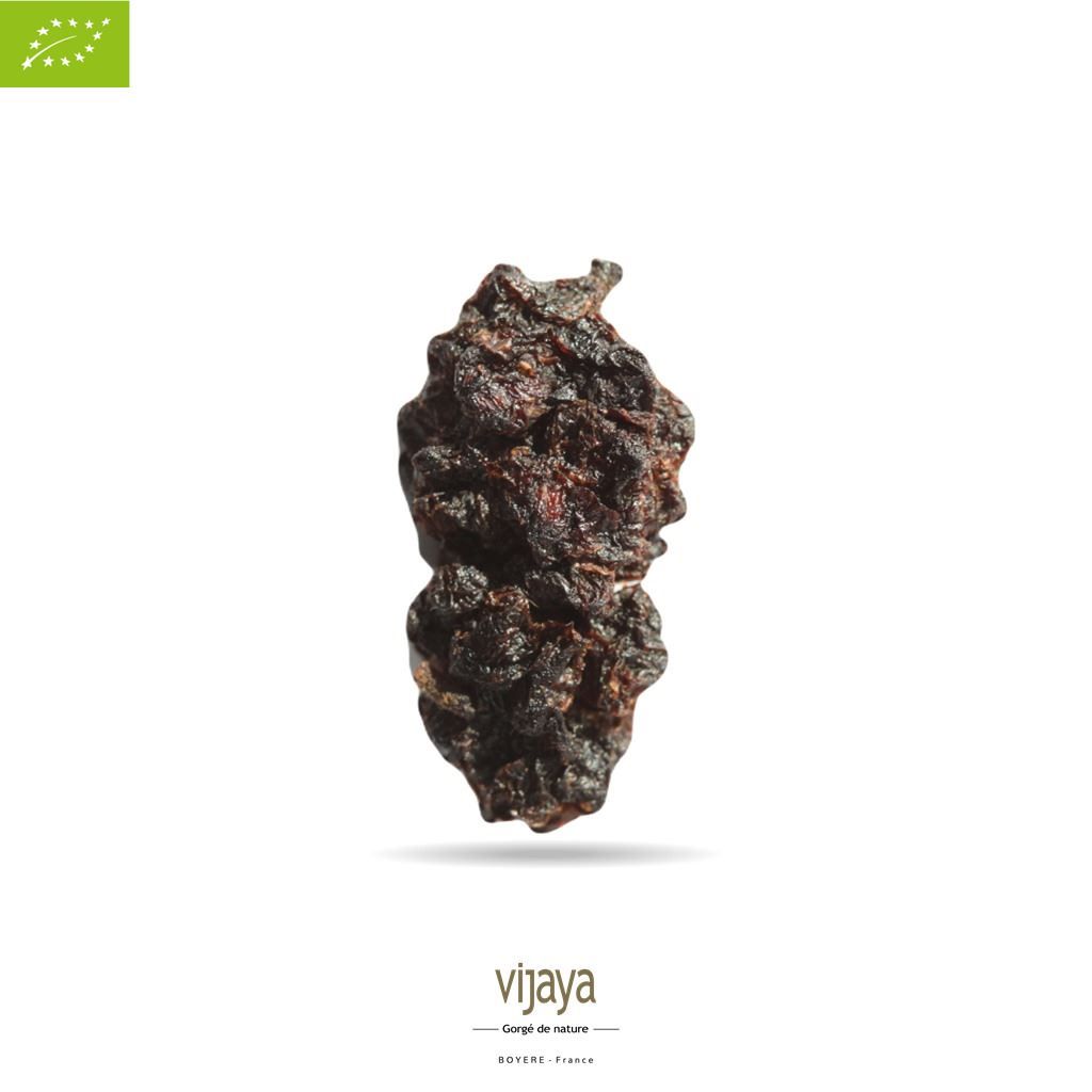 Vijaya