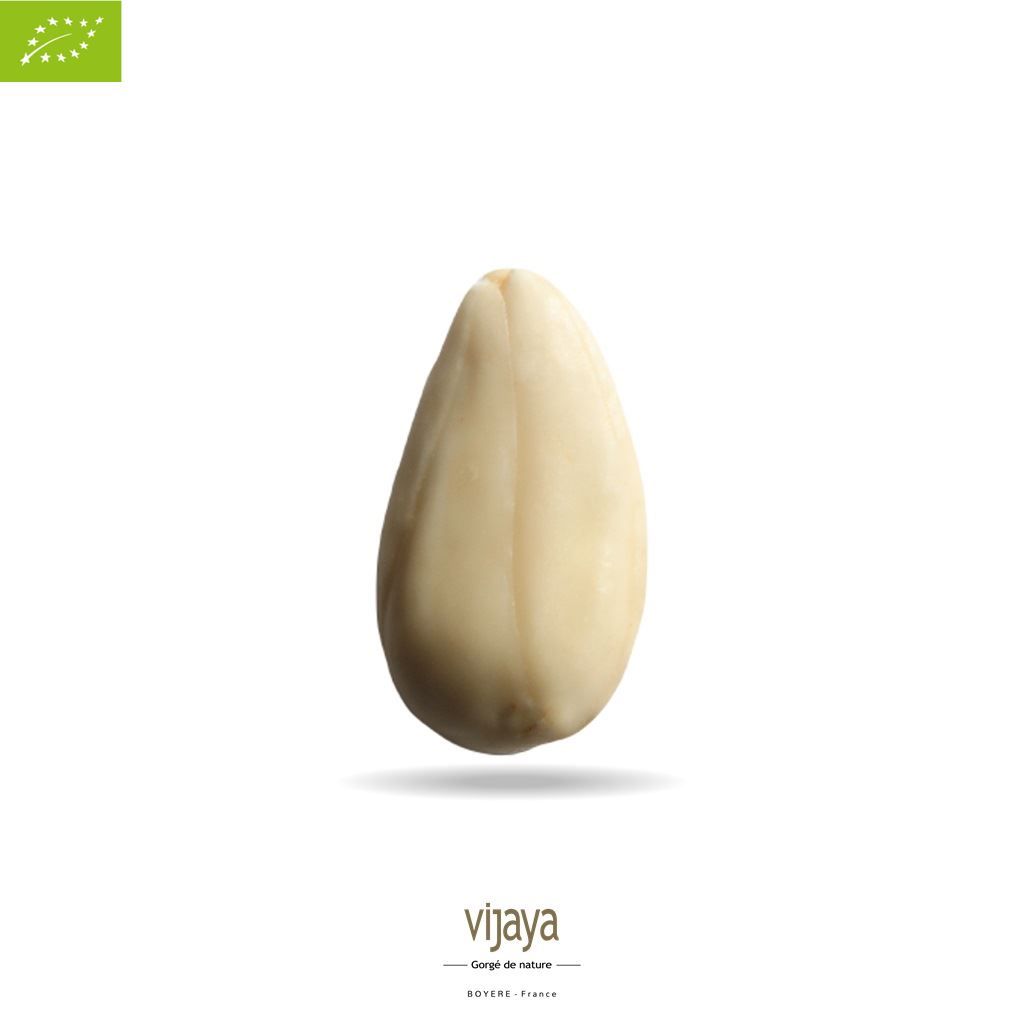 Vijaya