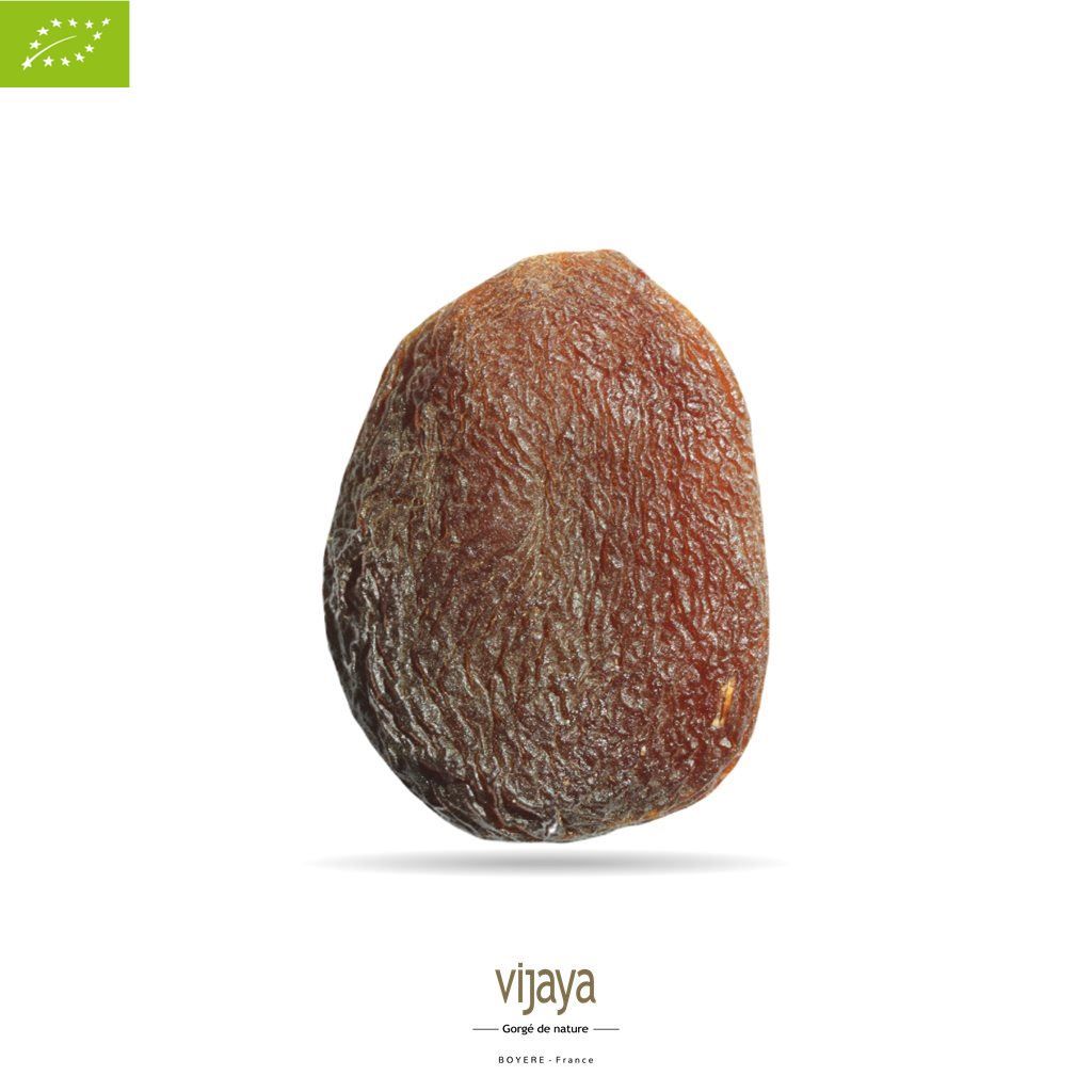 Vijaya